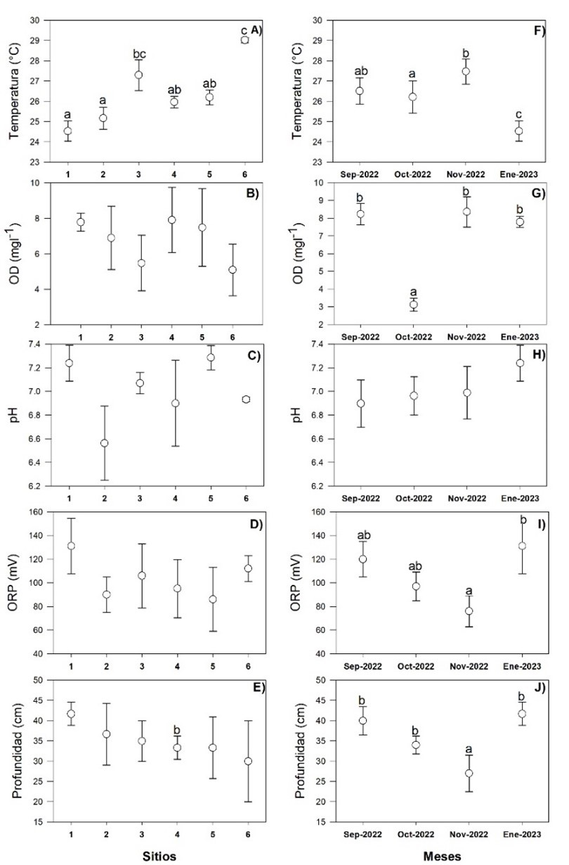 Variación espacial y temporal de los parámetros fisicoquímicos del río El Riíto. La figura muestra los valores medios ± 1 EE. Las letras diferentes indican diferencias significativas (p < 0.05). 