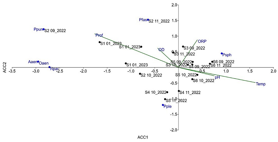 Representación gráfica del análisis de correspondencia canónica (ACC), mostrando la relación entre la abundancia de las especies y los parámetros fisicoquímicos en los dos primeros ejes. 