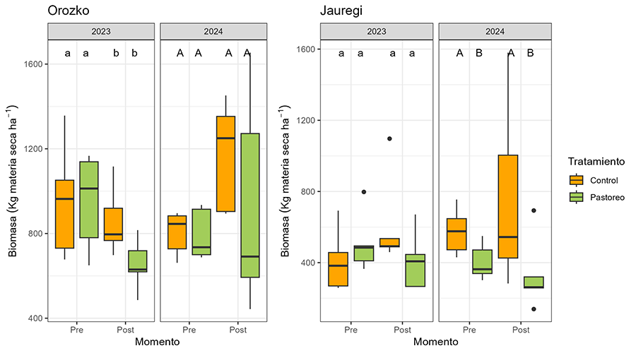 Diagramas de caja para biomasa (kg materia seca ha-1) en Orozko y en Jauregi, en 2023 y 2024, en los momentos de muestreo pre- y post-pastoreo. En verde las parcelas de pastoreo y en naranja las parcelas control (no pastoreo). Las letras indican las diferencias significativas (minúsculas en 2023 y mayúsculas en 2024) y los puntos indican los valores outliers. 