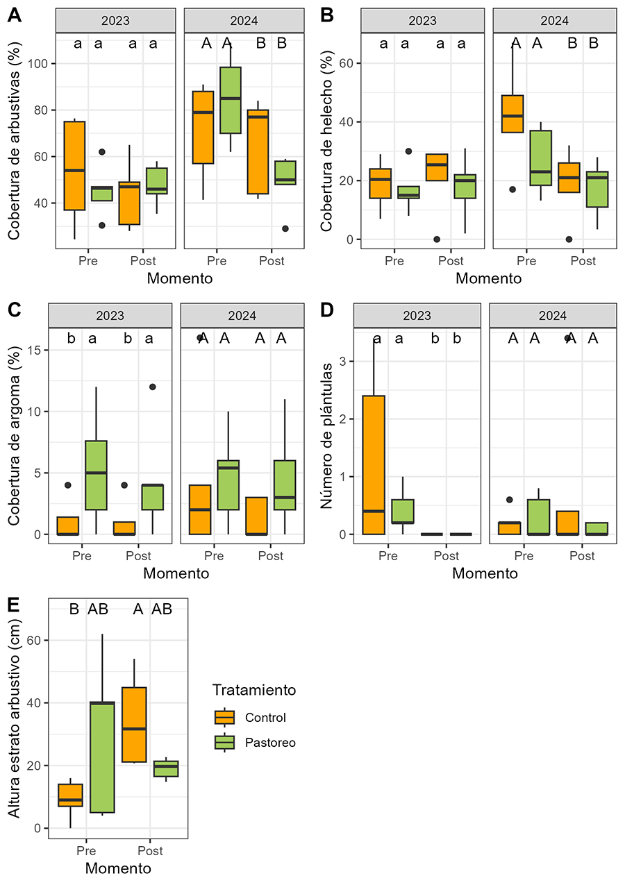 Diagramas de caja para cobertura (%) total de especies arbustivas (A), de helecho (B) y argoma (Ulex gallii) (C), para número de plántulas (D), y para altura del estrato arbustivo (E) en Orozko, en 2023 y 2024, en los momentos de muestreo pre- y post-pastoreo. En verde las parcelas de pastoreo y en naranja las parcelas control (no pastoreo). Las letras indican las diferencias significativas (minúsculas en 2023 y mayúsculas en 2024) y los puntos indican los valores outliers. 