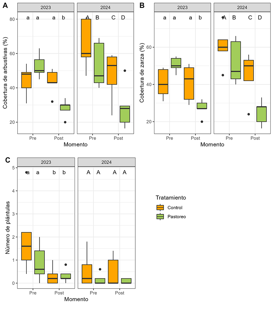 Diagramas de caja para la cobertura total de especies arbustivas (%) (A), cobertura de zarzas (Rubus spp.) (B), y número de plántulas (C) en Orozko y Jauregi, en 2023 y 2024, en los momentos de muestreo pre- y post-pastoreo. En verde las parcelas de pastoreo y en naranja las parcelas control (no pastoreo). Las letras indican las diferencias significativas (minúsculas en 2023 y mayúsculas en 2024) y los puntos indican los valores outliers. 