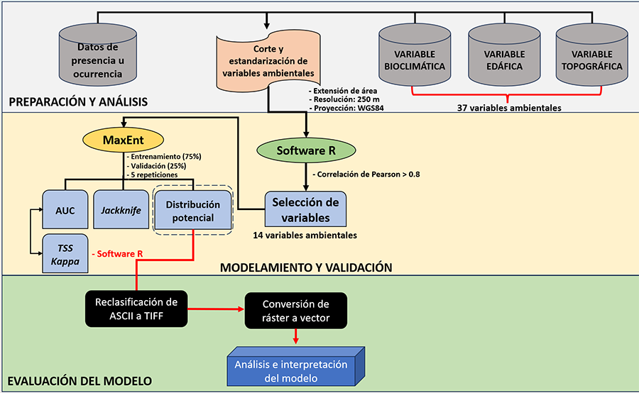 Proceso metodológico empleado en el
estudio. Obsérvese que el proceso realizado abarcó tres etapas (preparación y
análisis; modelamiento y validación; evaluación del modelo)