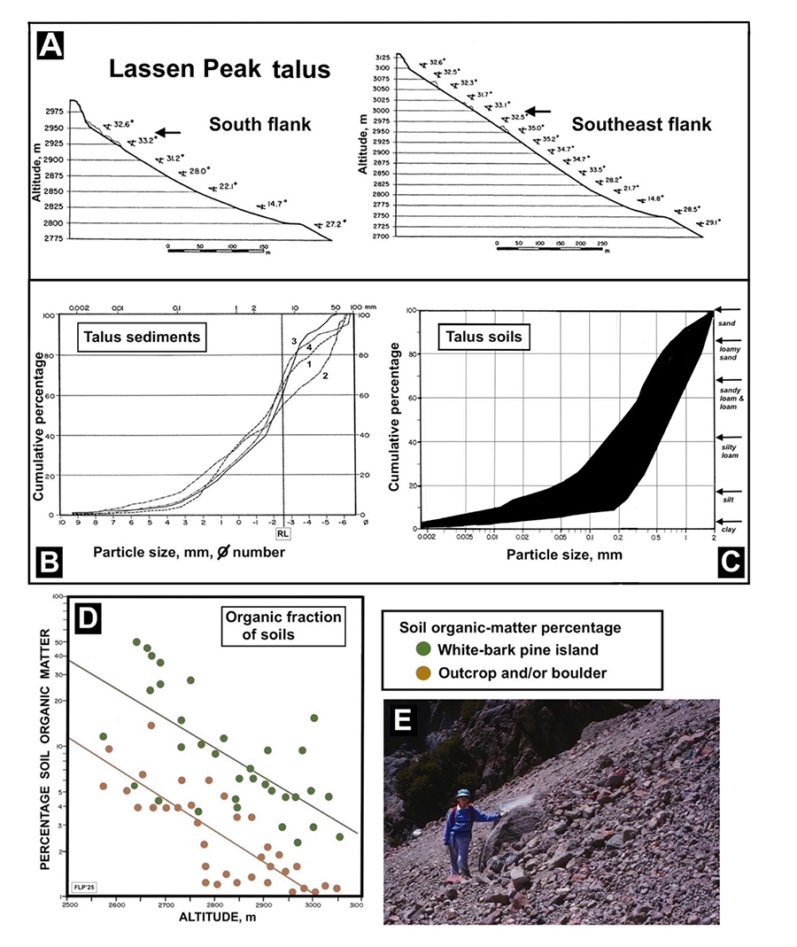 A. Longitudinal slope profiles for Lassen’s south (S) and southeast (SE) flanks; graphic shows no vertical exaggeration. Steeper sections at the top indicate volcanic dacite cliffwalls. Slope values are averages of 4-12 measurements within each elevational section. Elevations and scale are in meters. Horizontal arrows show approximate maximum elevation where gopher features were found. B. Cumulative particle-size distribution of talus sediments. Key: 1: upper S talus; 2: basal S talus; 3: upper SE talus; 4: basal SE talus. RL: ~5 cm rock limit. Scale in Phi (ø) (negative logarithm scale, American Geological Institute, 1976) and mm. C. Shading shows graphic envelope for cumulative particle-size distribution of talus soils (≤2-mm diameter) for 30 samples at 2720-3055 m on Lassen Peak. Approximate equivalent textural classes for a USDA texture triangle appear to the right. D. Soil organic fraction (SOM) for 35 surface bare soils (brown circles) and 33 soils under white-bark pines (green circles) on Lassen Peak, between 2560 and 3060 m. Logarithmic regressions: bare soils, Log10Y = 6.033 – 0.00200X, r = -0.633 (p< 0.001); under pines, Log10Y = 6.499 – 0.00197X, r = -0.677 (p< 0.001). E. Massive accumulation of talus debris upslope of a ~155-cm-tall boulder embedded in Lassen’s S flank; slope angle: ~34°. The base of Vulcan’s Eye appears in background; photo: Las-93-410, July 26, 1993. 