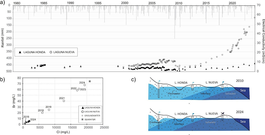 Temporal dynamics of EC (a) and chloride and bromide ions concentration (b) in the Albuferas de Adra. (c) Scheme showing the evolution of salinity in the Adra River delta aquifer between 2010 and 2024 (modified from Rodríguez-Rodríguez et al., 2011)