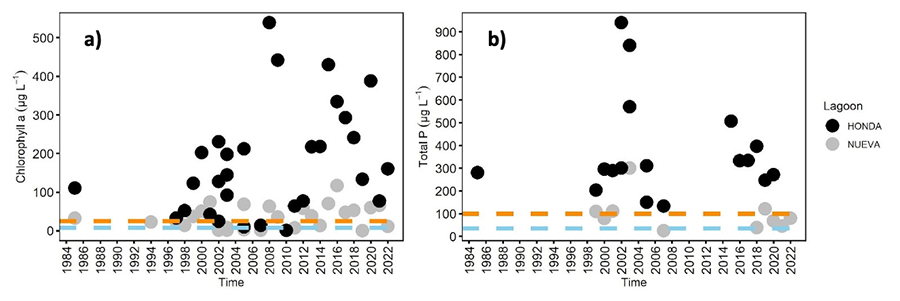 Interannual dynamics of (a) chlorophyll-a (μg L-1) and (b) total phosphorus (μg P L-1) concentrations in the Albuferas de Adra lagoons. Black and grey points represent Honda and Nueva lagoons, respectively. Horizontal lines stand for eutrophic (blue) and hypereutrophic (orange) levels based on OECD (1982)