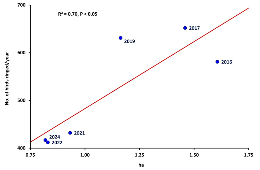 Relationship between surface covered by the reed beds (ha) and relative abundance of marsh birds ringed through constant effort (number of birds ringed/year) on the western end of Laguna Nueva from 2016 to 2024
