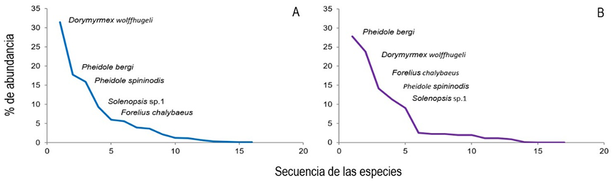 Curvas de rango-abundancia que muestran las tres especies más abundantes en viñedos con sistemas de producción convencional (A) y orgánico (B) en Luján de Cuyo, Mendoza, Argentina. 